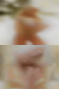 Bosyc77, hot