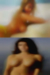 Springdale, Arkansas nympho sex