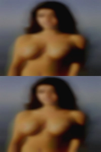 Thumperbunny33, fat