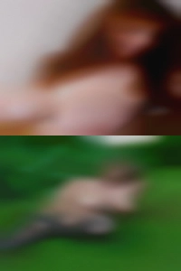 Adelafolker, 