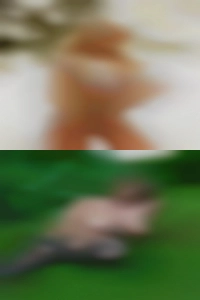 FlyMoose2, find